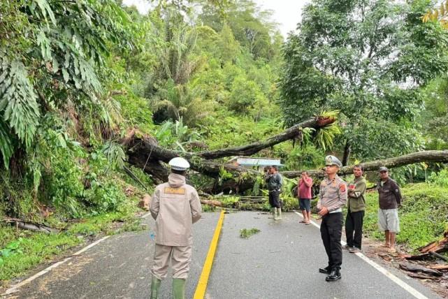 Akses Jalan Solok-Solok Selatan Tertutup Longsor, Pembersihan Sedang Berlangsung