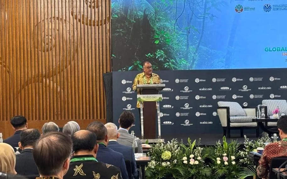 RUU Perubahan Iklim Akan Cantumkan Mekanisme Safeguard untuk Jaga Integritas Karbon Indonesia