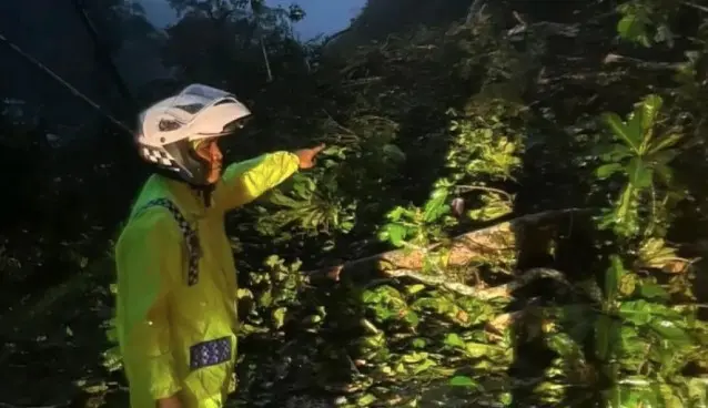 Longsor di Lembah Anai Lumpuhkan Akses Padang-Bukittinggi, Warga Diminta Waspada Cuaca Ekstrem