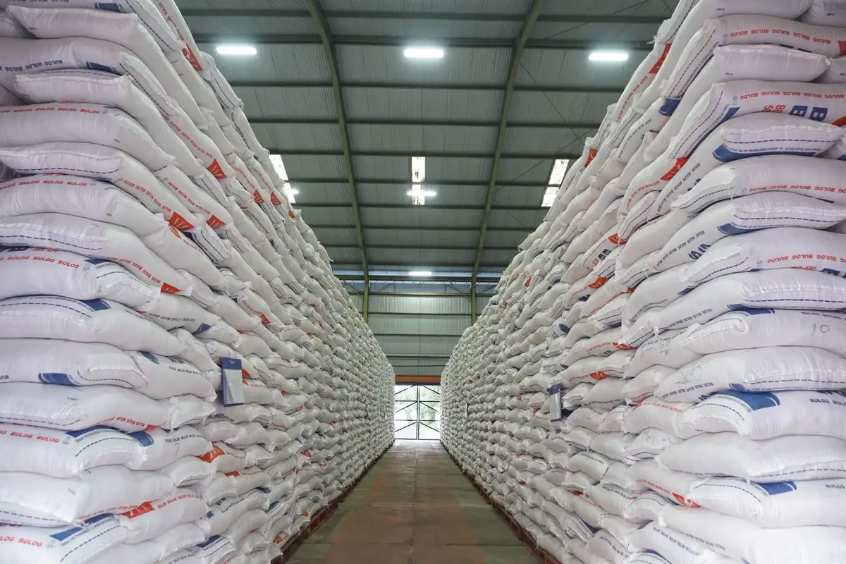 Pengamat: Indonesia Swasembada Beras, Stok Dunia Tertinggi Sepanjang Sejarah, Harga Global Anjlok!