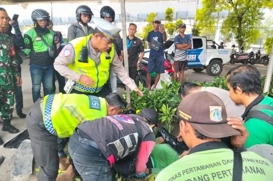 Truk Trailer Lindas Petugas Pertamanan hingga Tewas di Ancol, Sopir Diduga Tertidur Sesaat
