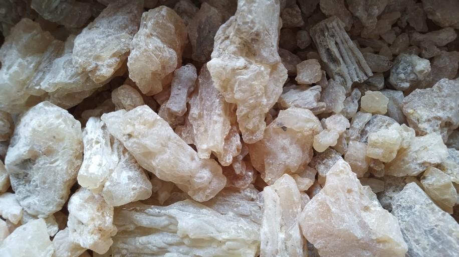 Dukung Ekspor Komoditas Unggulan, Bea Cukai Ambon Kawal Ekspor Perdana 14,7 Ton Damar