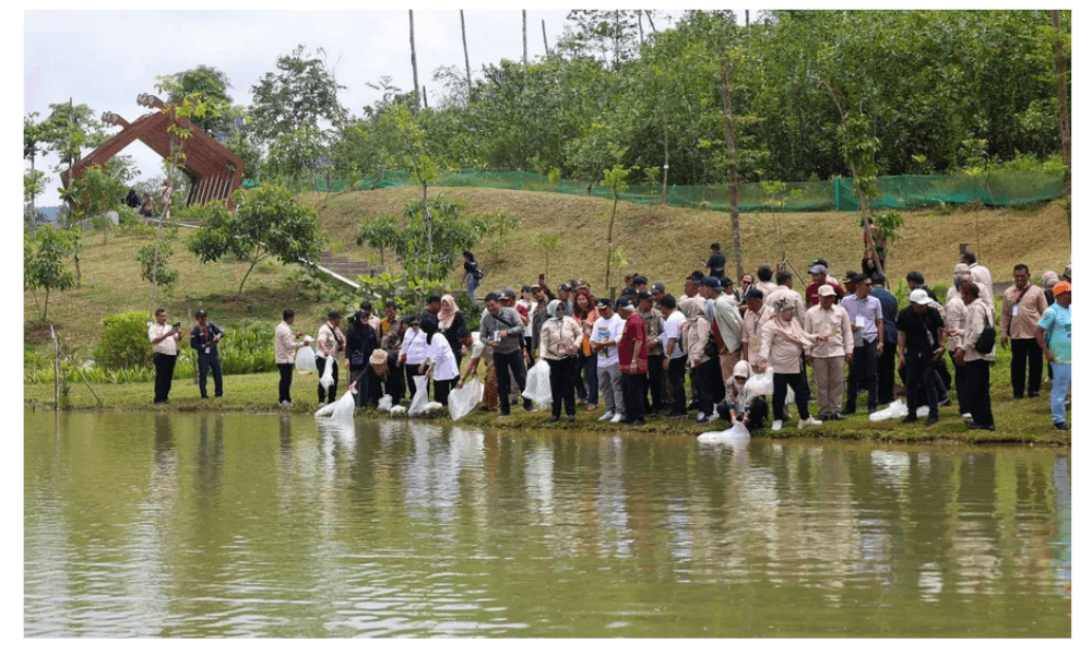 IKN Bangun 24 Embung dan Kolam Retensi, Perkuat Ketahanan Lingkungan Hadapi Perubahan Iklim