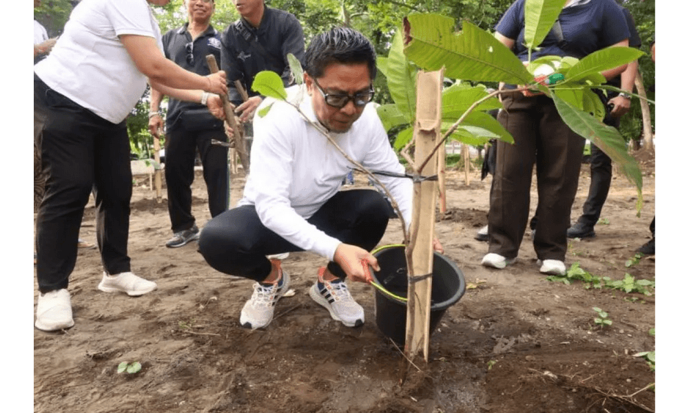 Denpasar Tanam Pohon Serentak untuk Pulihkan DAS dan Paru-Paru Kota
