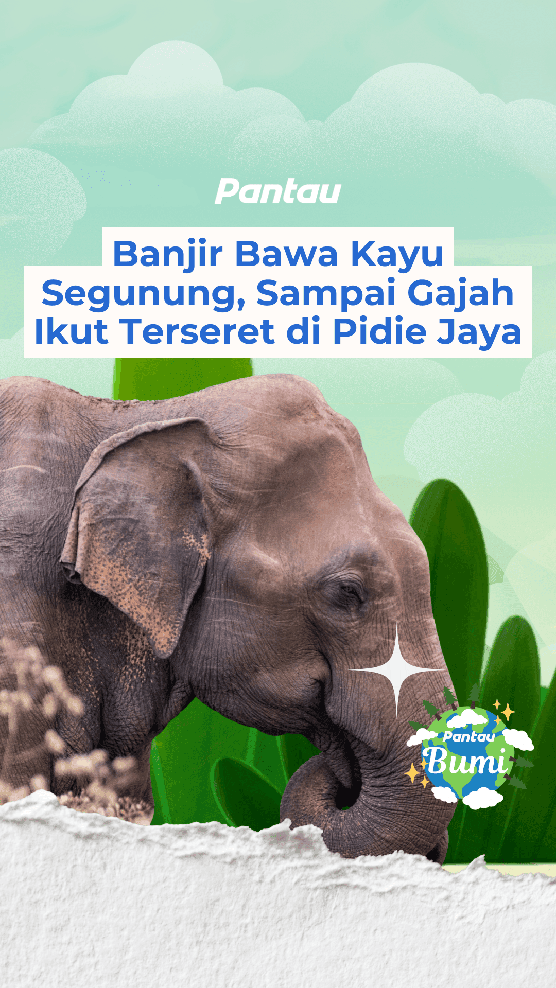 BANJIR BAWA KAYU SEGUNUNG, SAMPAI GAJAH IKUT TERSERET DI PIDIE JAYA