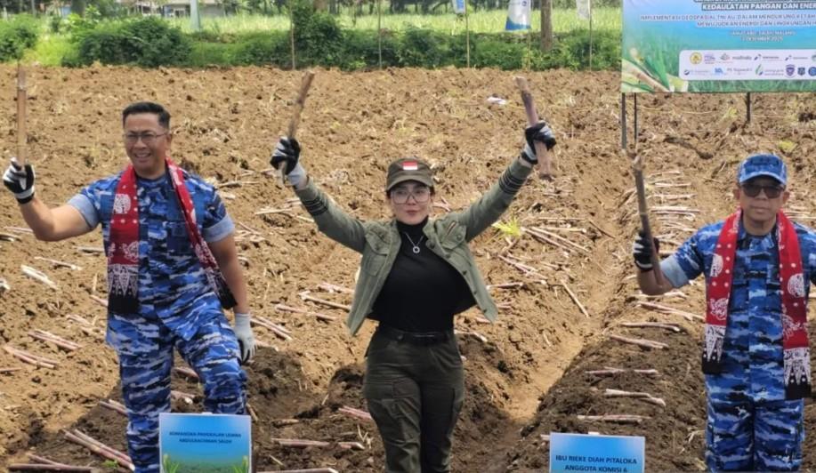 TNI AU Jadikan Tebu Sebagai Produk Ketahanan Energi, Siapkan 500.000 Hektare Lahan untuk Hilirisasi