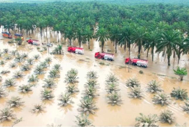 Akses Darat Mulai Terbuka, Penanganan Pascabencana di Aceh Tamiang Dipercepat Kemensos