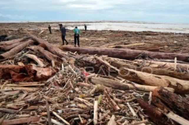 Pakar IPB Soroti Kayu Gelondongan Pascabencana Sumatera, Dorong Investigasi dan Penegakan Hukum Lingkungan