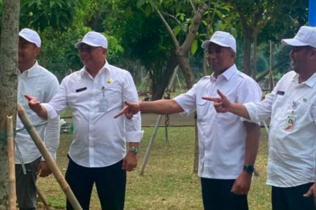Jakpro Gelar Aksi Tanam Pohon di Taman Gedung MCC Kelapa Gading untuk Dukung Penghijauan Jakarta