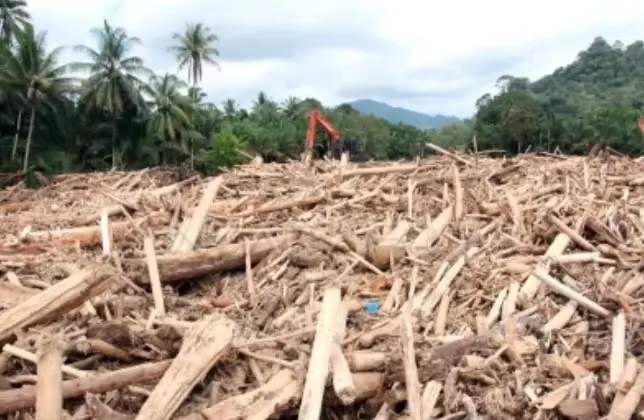 Guru Besar IPB Ungkap Kayu Gelondongan di Lokasi Banjir Sumatera Indikasikan Aktivitas Manusia
