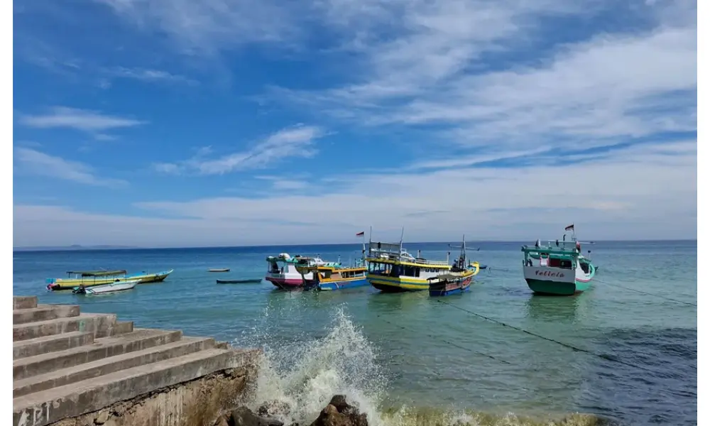 BMKG Peringatkan Potensi Gelombang Tinggi hingga 4 Meter di Perairan Sumatera Barat, Nelayan Diminta Waspada