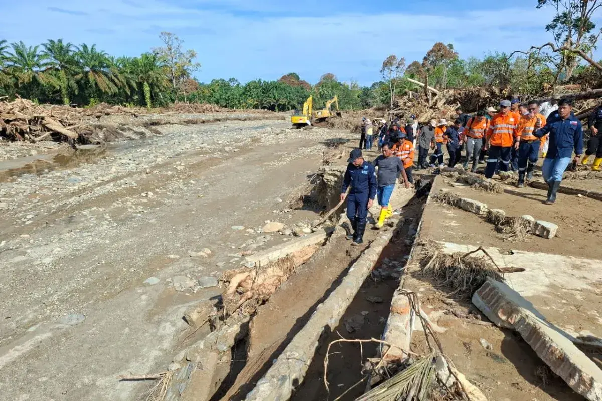 Menteri LH Tegaskan Kayu Banjir Garoga Bukan dari Hulu Batang Toru, Empat Perusahaan Dihentikan Sementara
