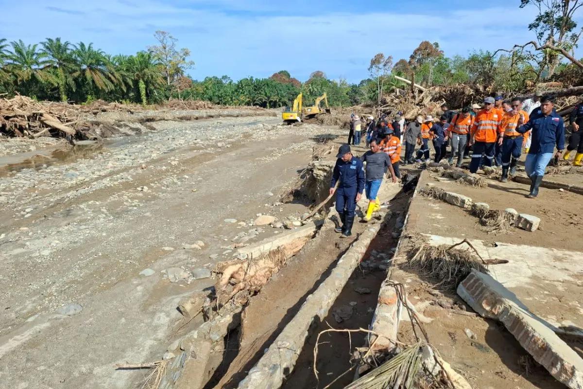 Menteri LH Tegaskan Kayu Banjir Garoga Bukan dari Hulu Batang Toru, Empat Perusahaan Dihentikan Sementara