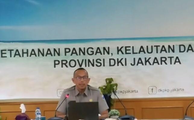 DKI Jakarta Ajak Warga Laporkan Penjualan Daging Anjing dan HPR untuk Konsumsi