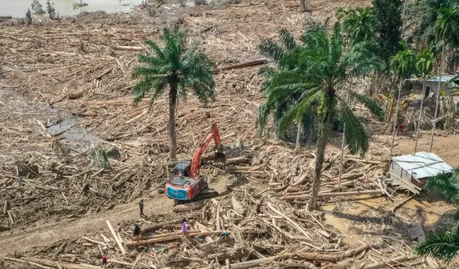 Bareskrim Polri Selidiki Penebangan Liar di Hulu Sungai Tamiang Terkait Banjir Aceh