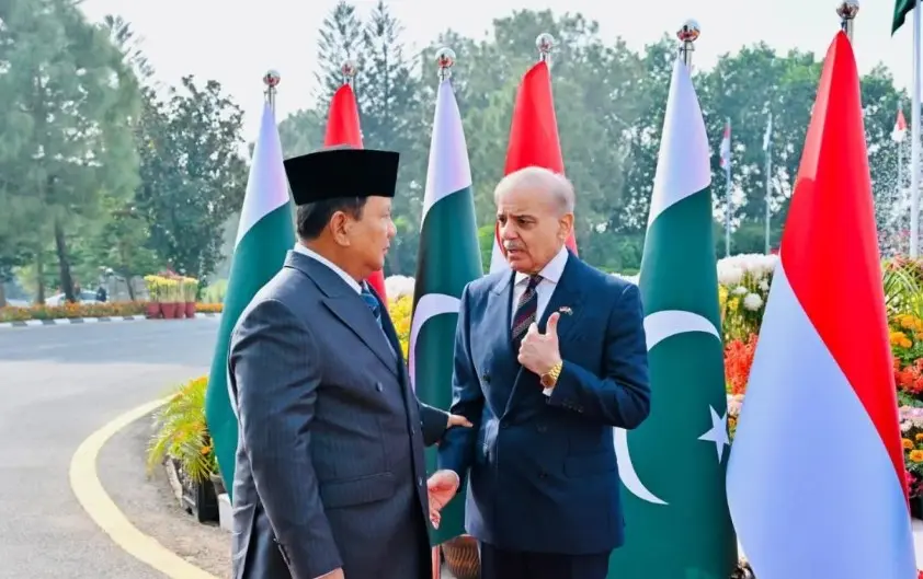 Presiden Prabowo dan PM Pakistan Tegaskan Komitmen Islam Moderat dan Perkuat Hubungan Bilateral