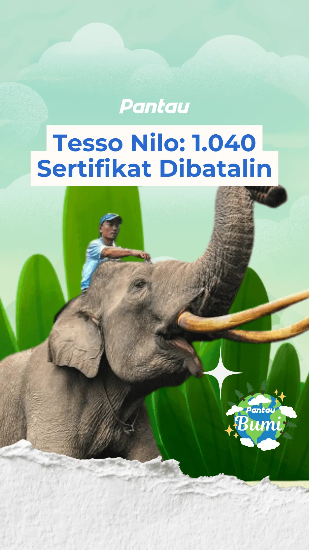 TESSO NILO : 1.040 SERTIFIKAT DIBATALI