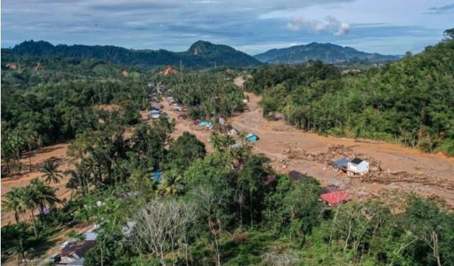 Hutan adalah Benteng Pertahanan Negara: Dari Ekologi hingga Ketahanan Pangan