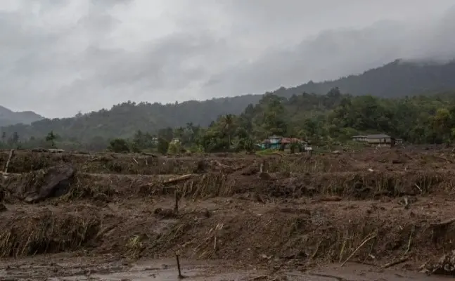 Pemprov Sumbar Catat 1.341 Hektare Sawah Alami Puso akibat Bencana Hidrometeorologi