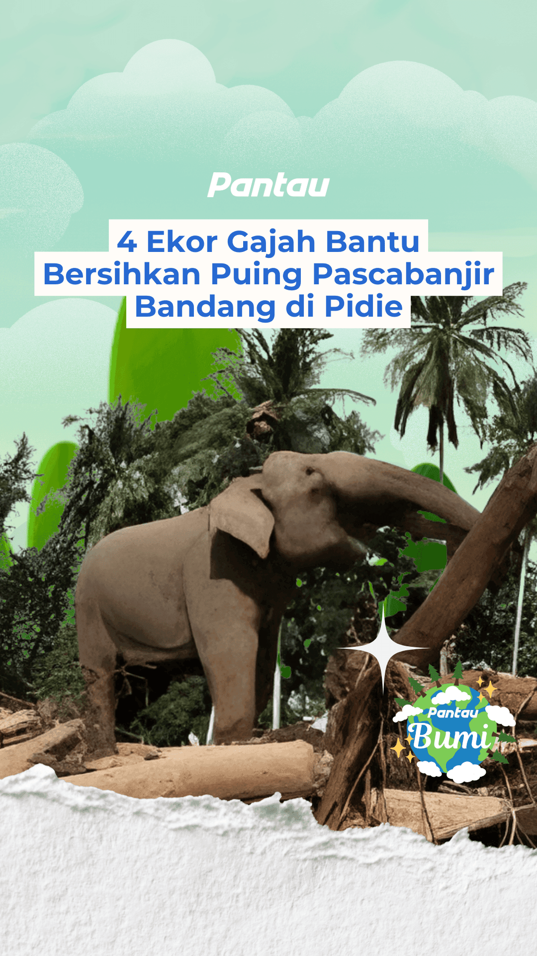4 EKOR GAJAH BANTU BERSIHKAN PUING PASCABANJIT BANDANG DI PIDIE