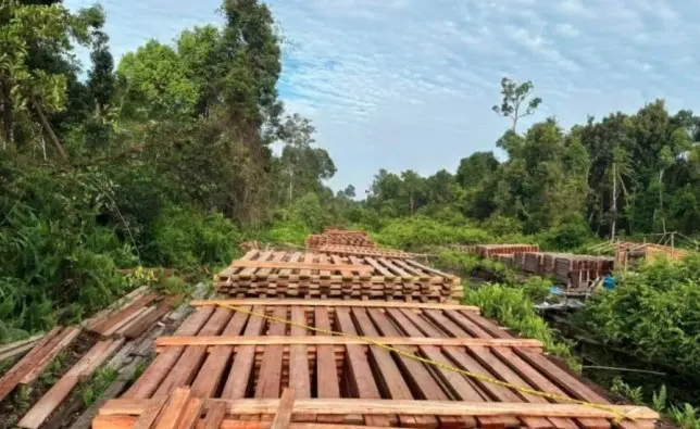 Polisi Riau Amankan 300 Kubik Kayu Ilegal dari Perbatasan Indragiri Hulu