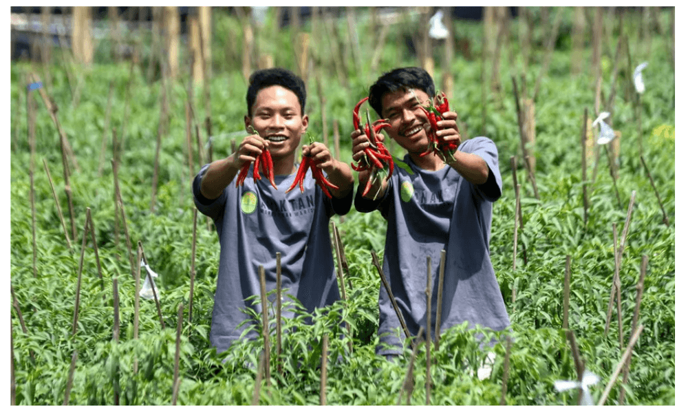 Outlook Pertanian 2026: Antara Tantangan Nyata dan Harapan Swasembada Berkelanjutan