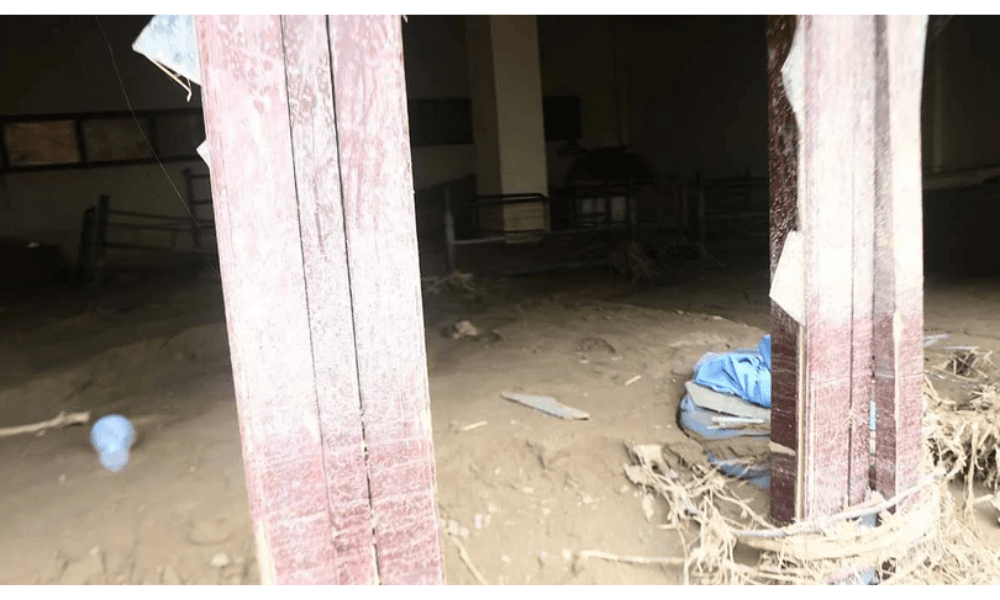 Tertimbun Lumpur Banjir, Pesantren di Pidie Jaya Keruk Sendiri Gunakan Dana Pribadi