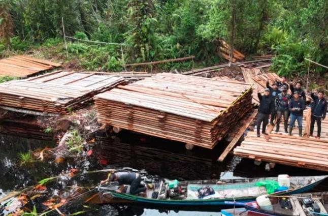 UPT KPH Indragiri Sita 300 Meter Kubik Kayu Olahan Ilegal di Indragiri Hulu