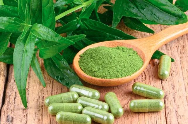 Ekstrak Spearmint Dapat Mendukung Fungsi Kognitif, Temuan Studi Terbaru