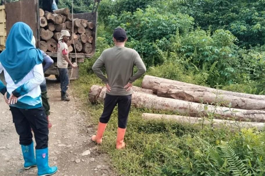 Puluhan Batang Kayu Ilegal Ditemukan di Tanah Laut, Pelaku Masih Misterius