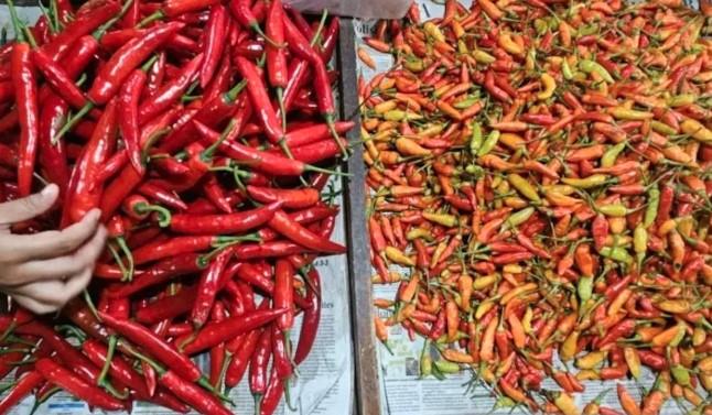 Harga Cabai Rawit Merah Tembus Rp80.800/Kg, Telur dan Daging Ikut Naik di Awal Pekan