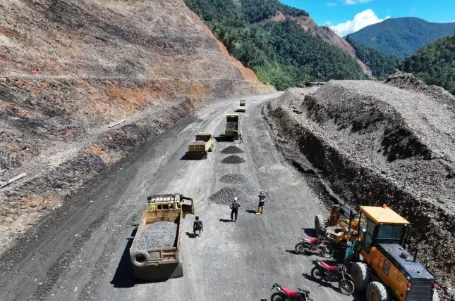 Pakar: Pembentukan KEPP Otsus Papua Penting untuk Sinkronisasi Pembangunan Sesuai Karakteristik Daerah