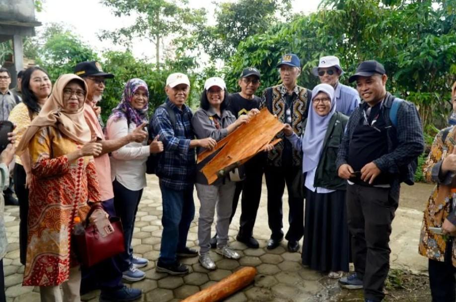 Indonesia Kawal Standar Internasional Kayu Manis di Forum Codex demi Perkuat Daya Saing Ekspor