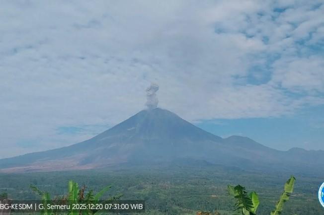 Gunung Semeru Kembali Erupsi, PVMBG Keluarkan Peringatan Siaga dan Larangan Aktivitas di Radius Terdampak