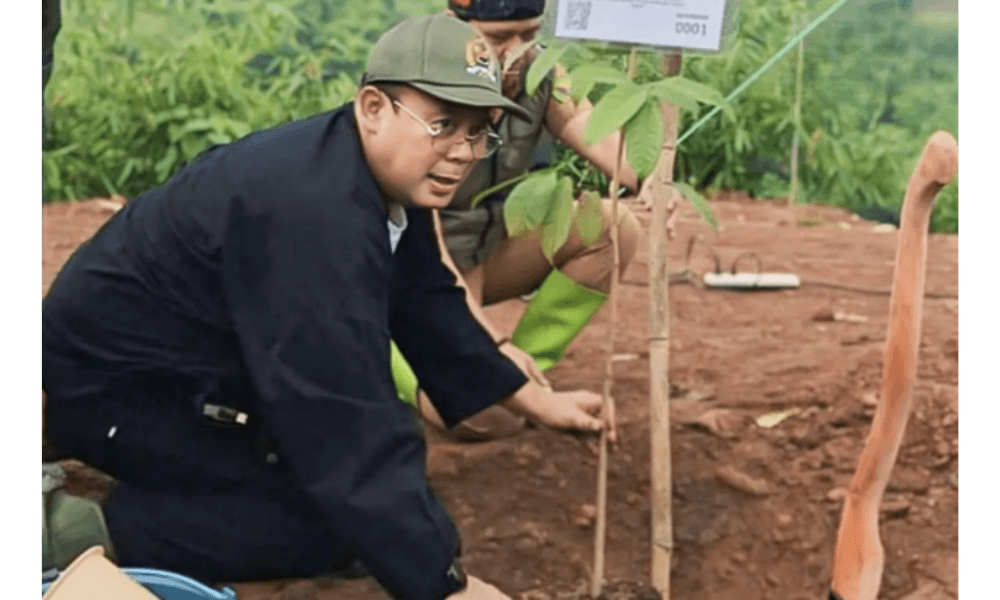 Wakil Ketua DPR Serukan Gerakan Nusantara Menanam untuk Cegah Deforestasi dan Bencana Alam