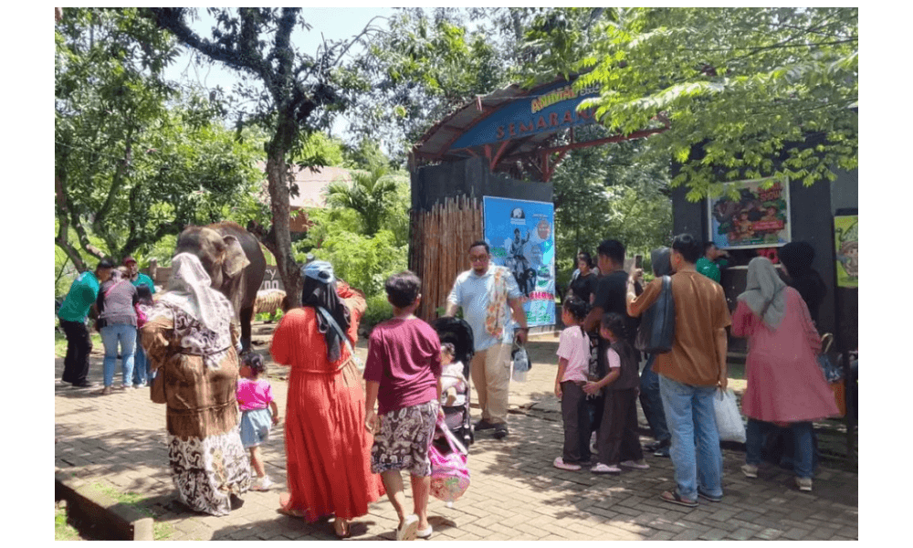 Semarang Zoo Gelar Zoonderland 2025/2026, Hadirkan Hiburan Keluarga hingga Forest Track Akhir Liburan