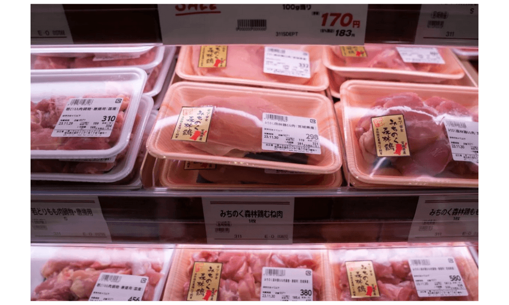 Wabah Flu Burung Patogenik Tinggi Kembali Guncang Hokkaido, Jepang Dimusnahkan 6.000 Ekor Ayam