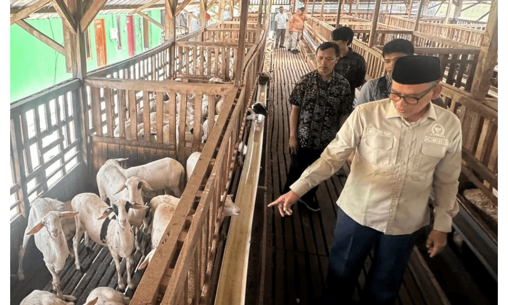 DPR Ajak Anak Muda Terjun ke Peternakan, Kisah Sukses Muji dari Tegal Jadi Inspirasi