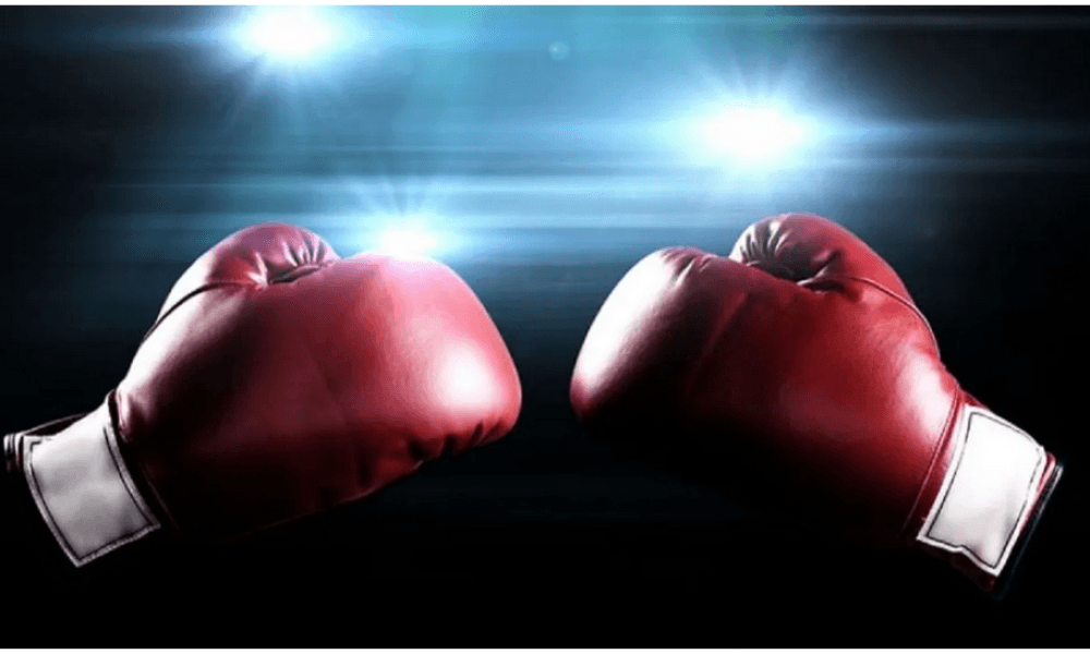 Naoya Inoue Perkuat Dominasi, WBC Rilis Daftar Juara Dunia Tinju Terbaru per Kelas