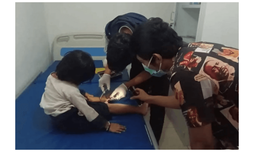 62 Warga Badui Jadi Korban Gigitan Ular Berbisa Sepanjang 2025, 11 Meninggal Dunia