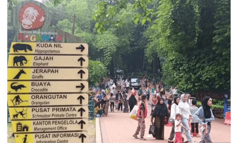 Taman Margasatwa Ragunan Tambah Petunjuk Arah demi Nyaman dan Edukatif bagi Pengunjung