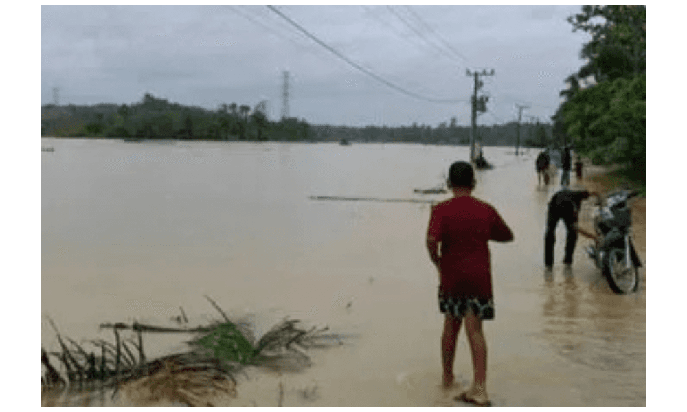 Banjir Lumpuhkan Sektor Perikanan di Aceh Timur, Kerugian Ditaksir Capai Rp2,64 Triliun
