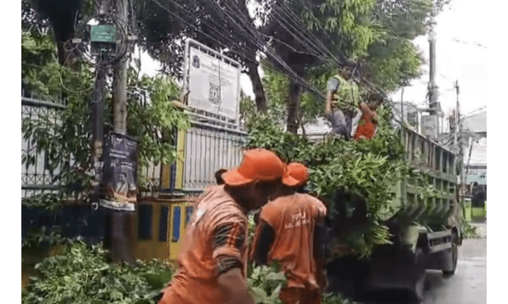 Antisipasi Korsleting, Pohon Nangka di Grogol Petamburan Dipangkas karena Ganggu Kabel Listrik