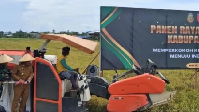 Kabupaten Buru Surplus 14 Ribu Ton Beras, Bukti Kemajuan Pertanian di Maluku