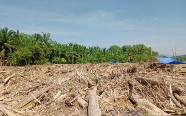Kementerian Kehutanan Lanjutkan Pembersihan Kayu Banjir di Aceh dan Sumut, Fokus Pemulihan Pascabencana
