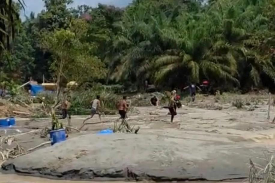 Penambang Emas Ilegal di Tebo Ditangkap Polisi, Delapan Orang Diamankan di Lokasi Perkebunan Sawit