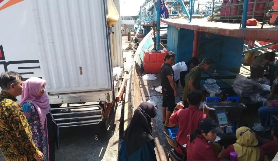 Produksi Perikanan Cirebon Lampaui Target 2025, Retribusi TPI Kejawanan Ikut Naik