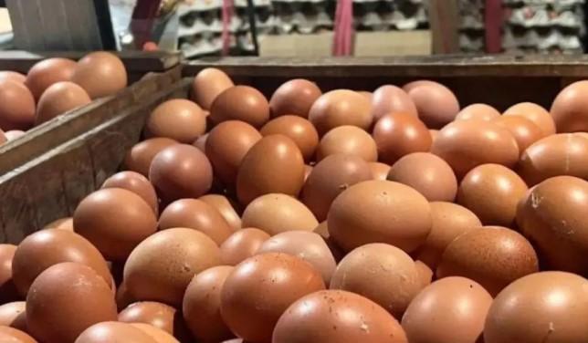 Harga Pangan Terkini: Cabai Rawit dan Telur Ayam Stabil, Beras Super Capai Rp16.000 per Kg