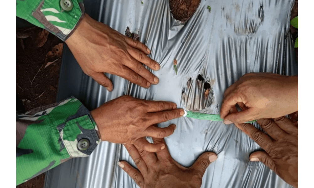 BKSDA Pastikan Jejak Satwa Liar di Lampung Timur Bukan Milik Harimau Sumatera