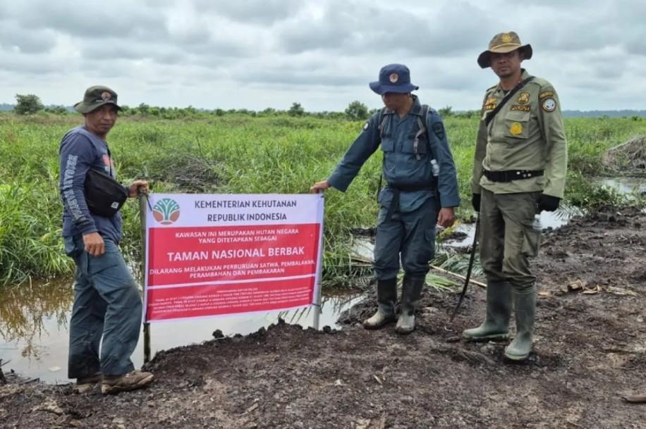 Ketua Kelompok Perambah Hutan TN Berbak Sembilang Terancam 10 Tahun Penjara dan Denda Rp5 Miliar